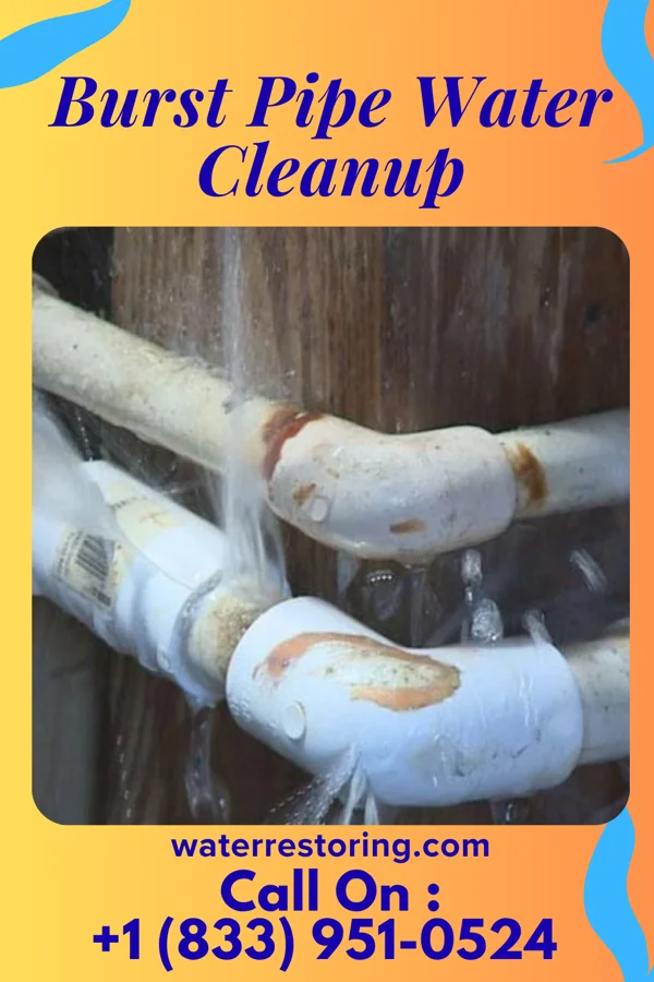 Burst Pipe Water Cleanup in Louisburg, MO