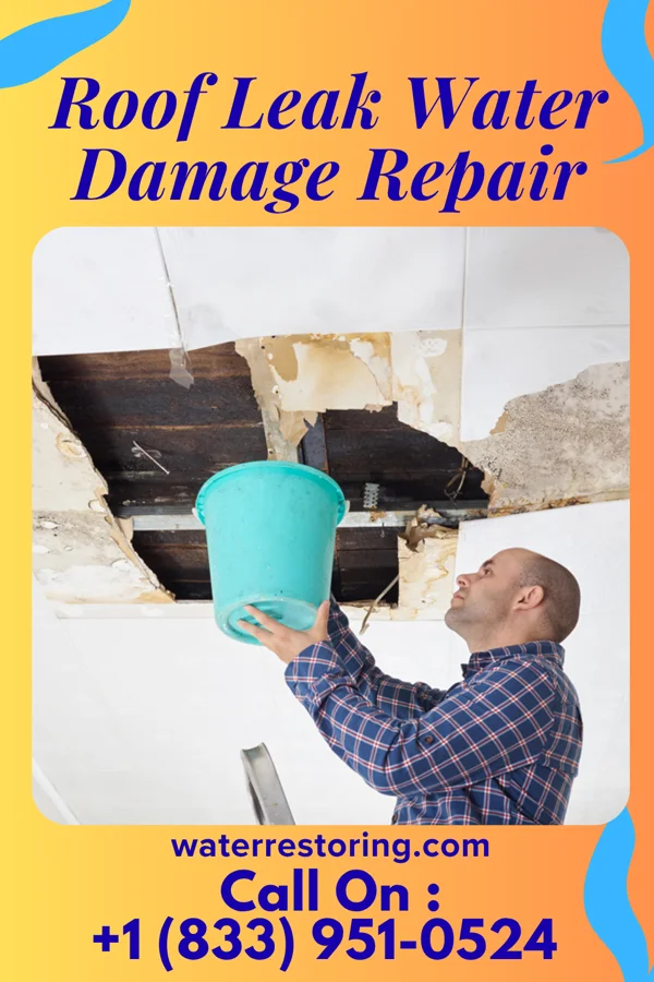 Roof Leak Water Damage Repair in Louisburg, MO